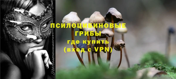 прущие крисы Алзамай