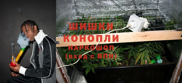 прущие крисы Алзамай