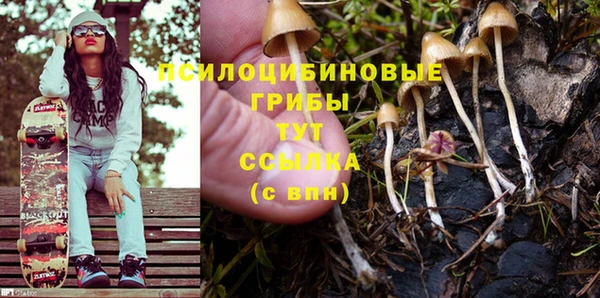 винт Алексеевка