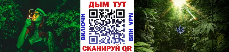 Бошки Шишки ГИДРОПОН Ростов